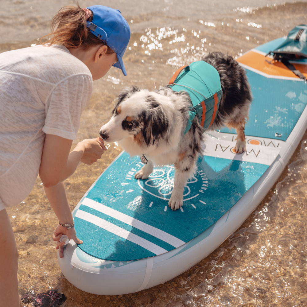 kryci-podlozka-pro-psy-moai-deckpad-limited-style dog